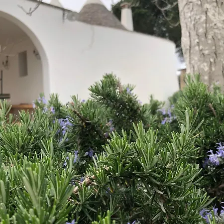 Appartement I Papatrulli Miniresort